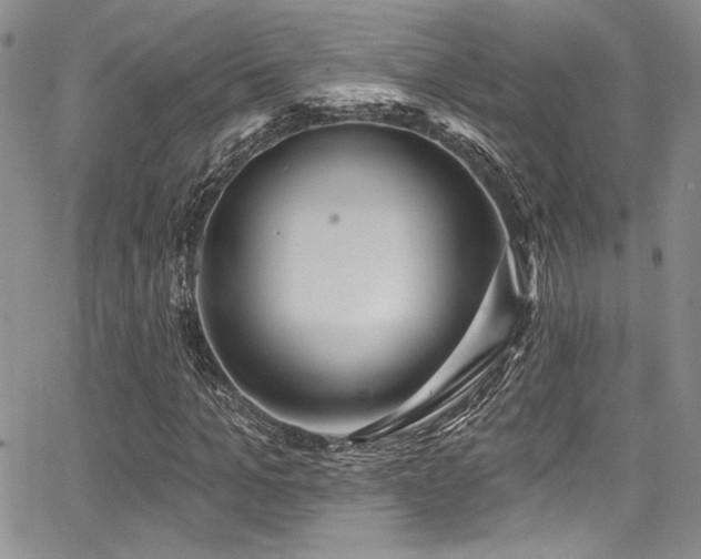 X0000068270965200604211106