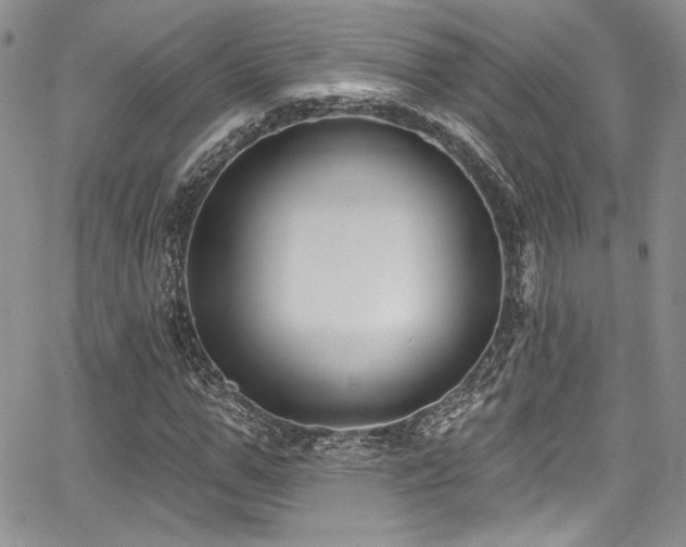 X0000068270967200604211106