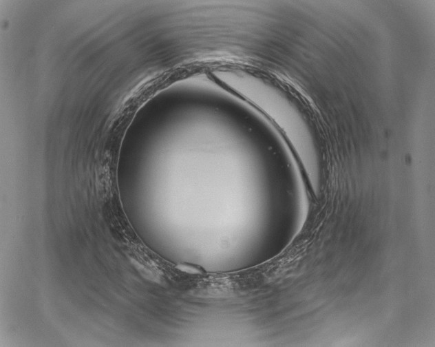 X0000068270968200604211106