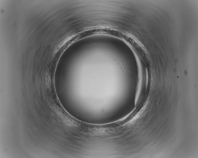 X0000068270969200604211106