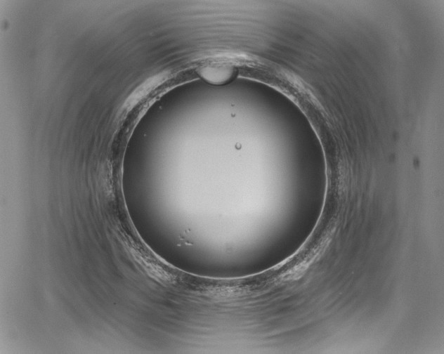 X0000068270970200604211106