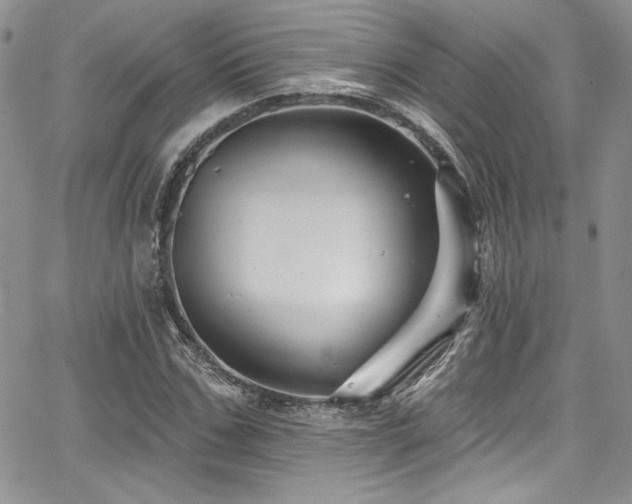 X0000068270971200604211106