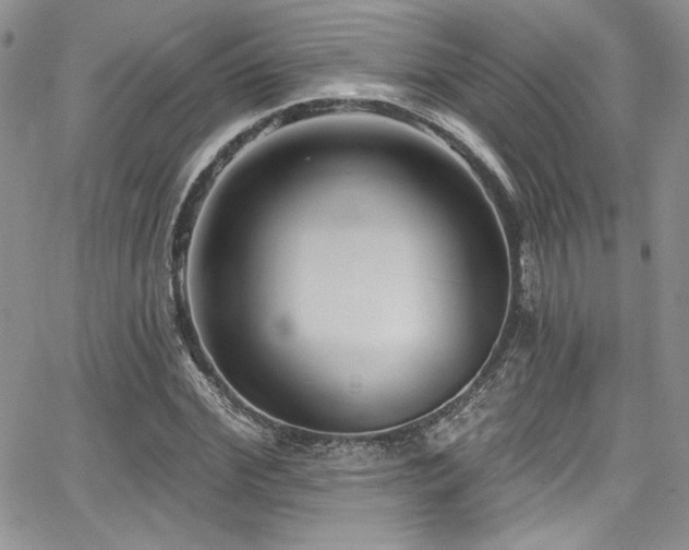 X0000068270972200604211106