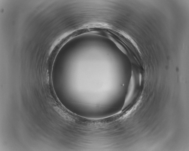 X0000068270973200604211106