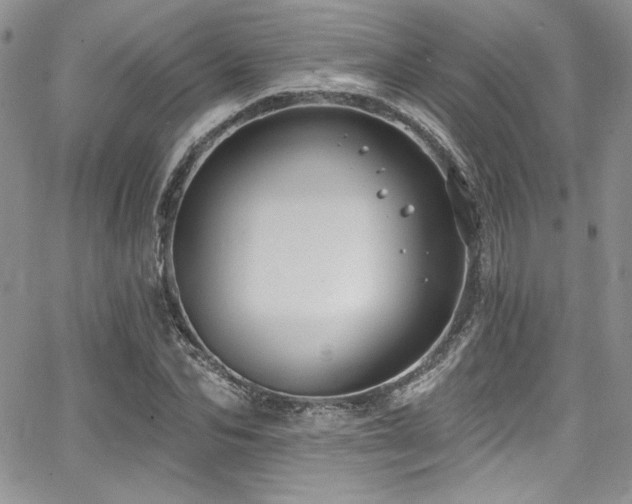 X0000068270974200604211106