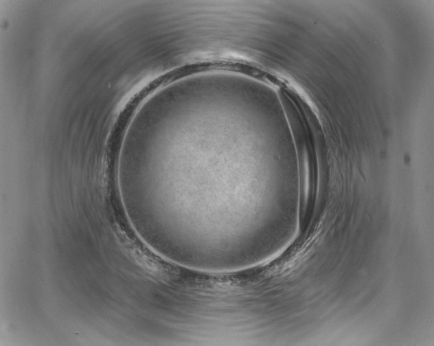 X0000068270975200604211106