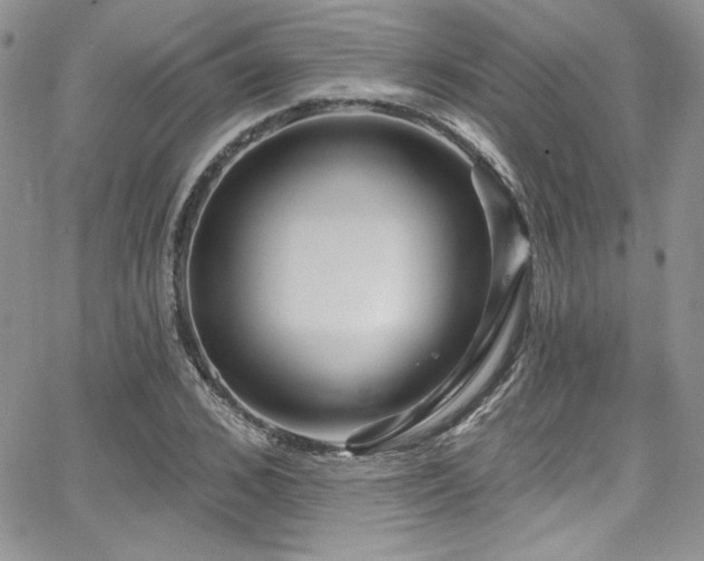 X0000068270976200604211106