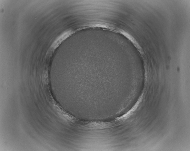 X0000068270977200604211106