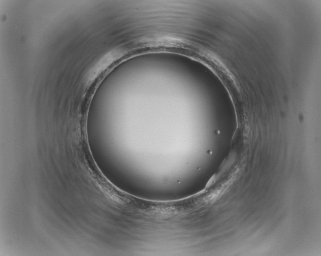 X0000068270978200604211106