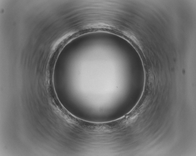 X0000068270979200604211106