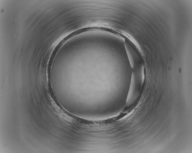 X0000068270980200604211106