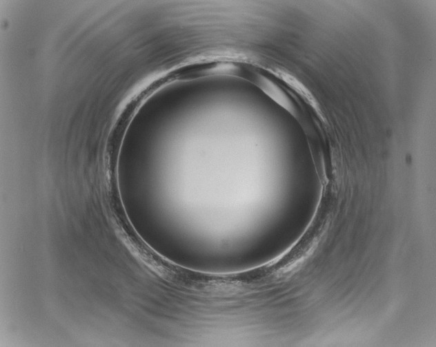 X0000068270981200604211106