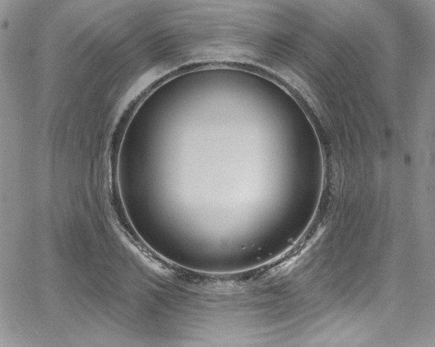 X0000068270982200604211106