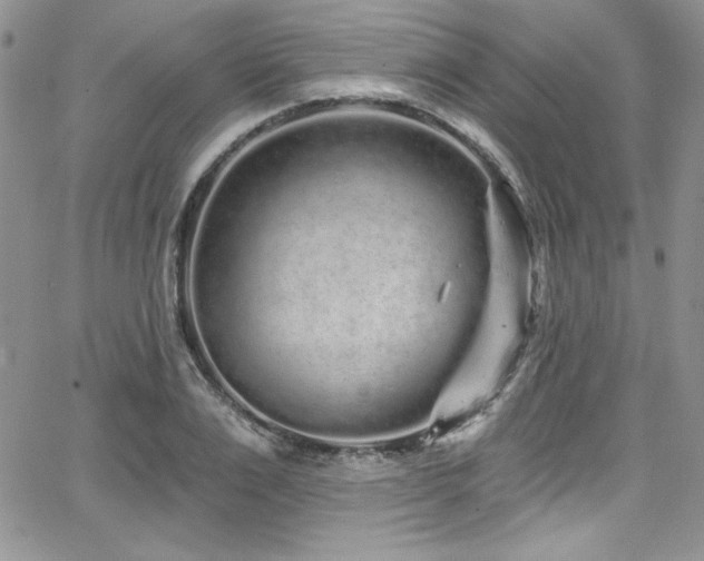 X0000068270983200604211106