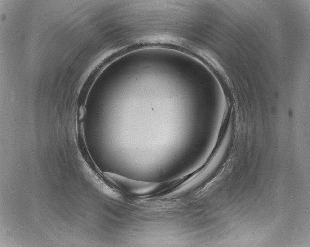 X0000068270984200604211106