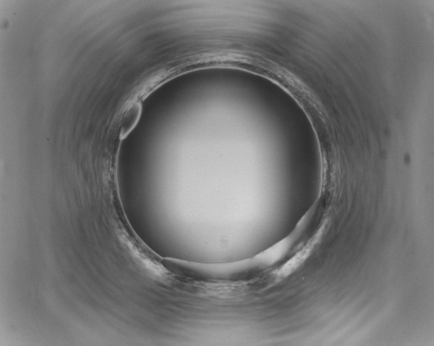 X0000068270985200604211106