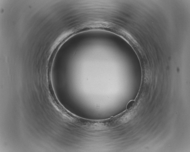 X0000068270986200604211106