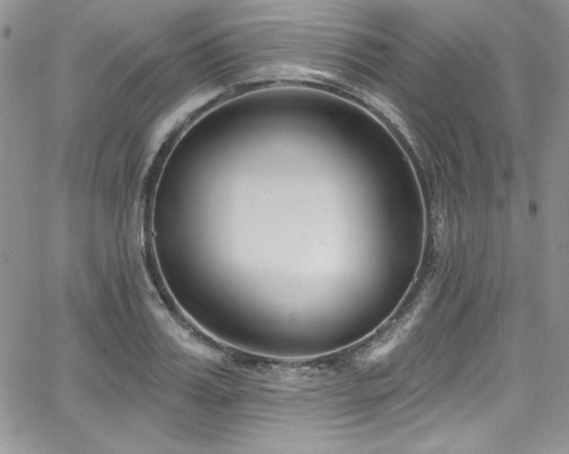 X0000068270987200604211106