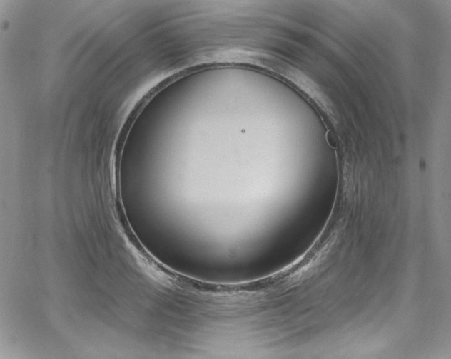 X0000068270988200604211106