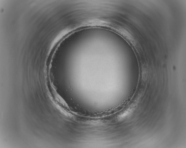 X0000068270990200604211106