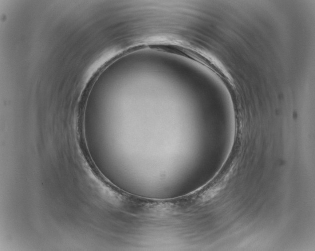 X0000068270991200604211106