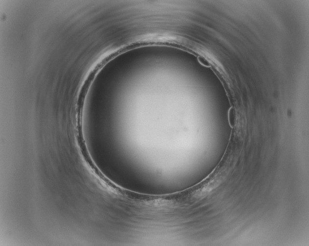 X0000068270992200604211106