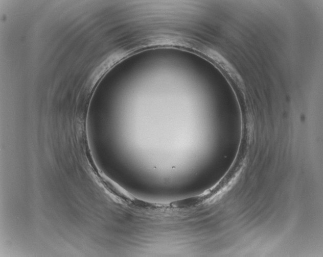 X0000068270993200604211106