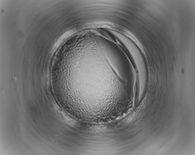 X0000068270994200604211106