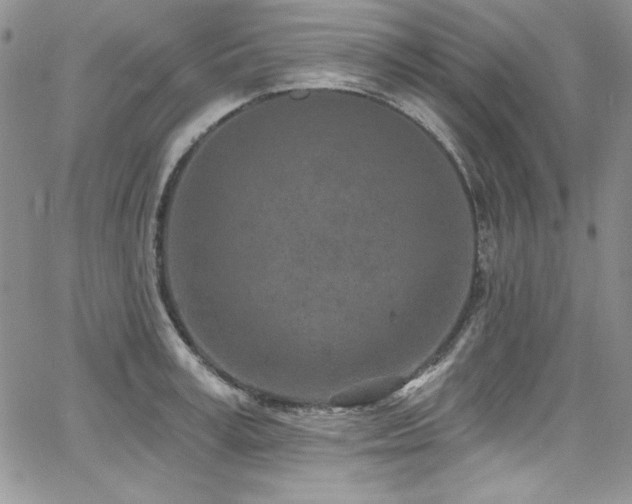 X0000068270995200604211105