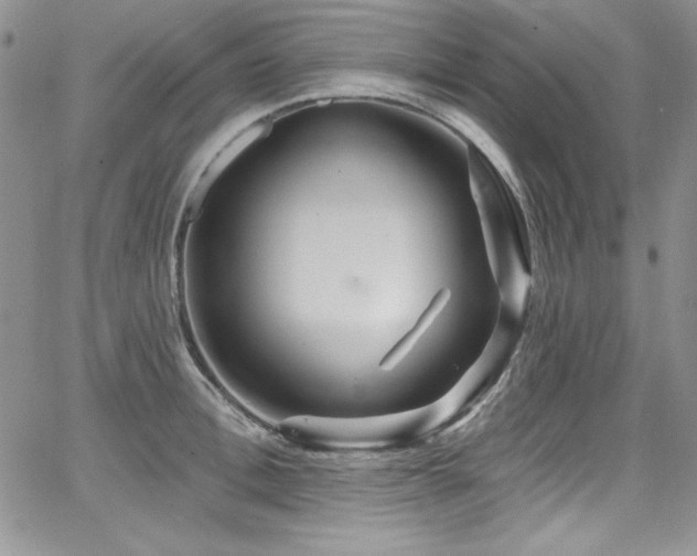 X0000068270996200604211105