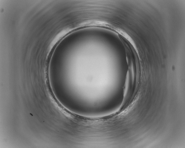 X0000068270997200604211105