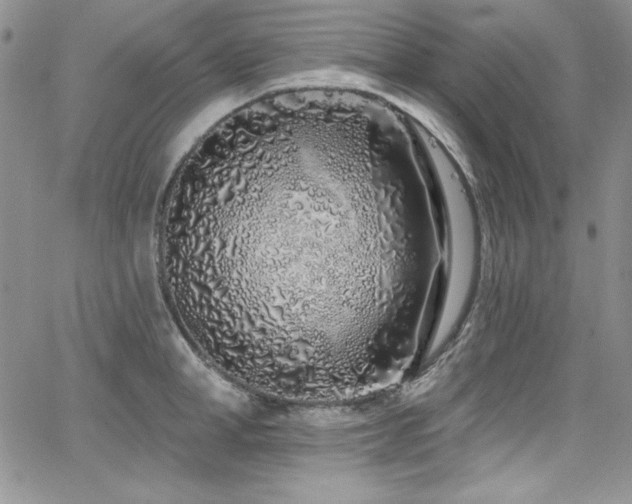 X0000068270998200604211105