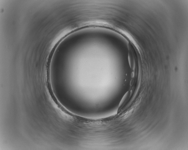 X0000068270999200604211105