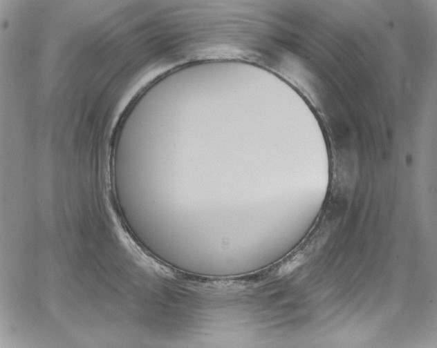 X0000068271000200604211105