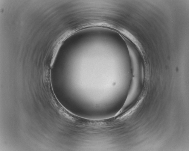 X0000068271001200604211105