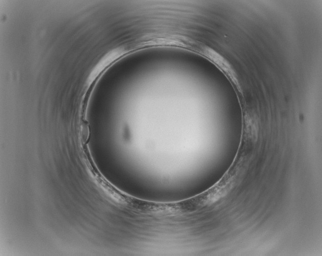 X0000068271002200604211105