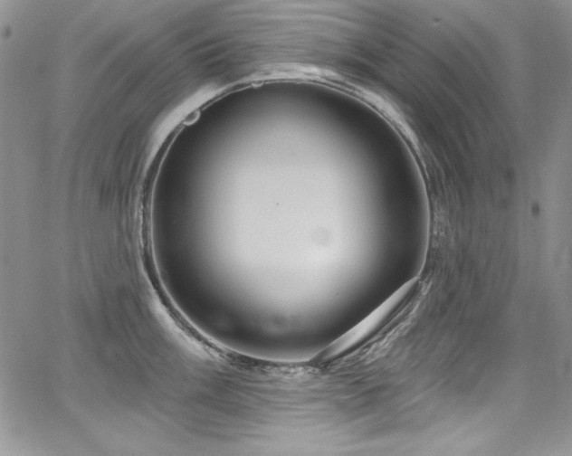 X0000068271003200604211105