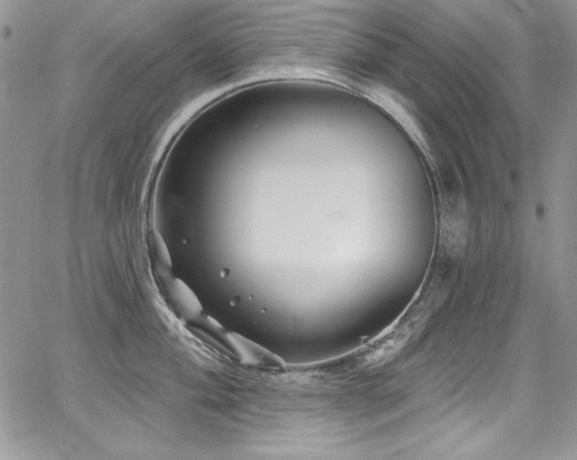 X0000068271004200604211105