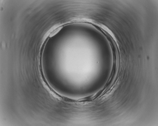 X0000068271005200604211105