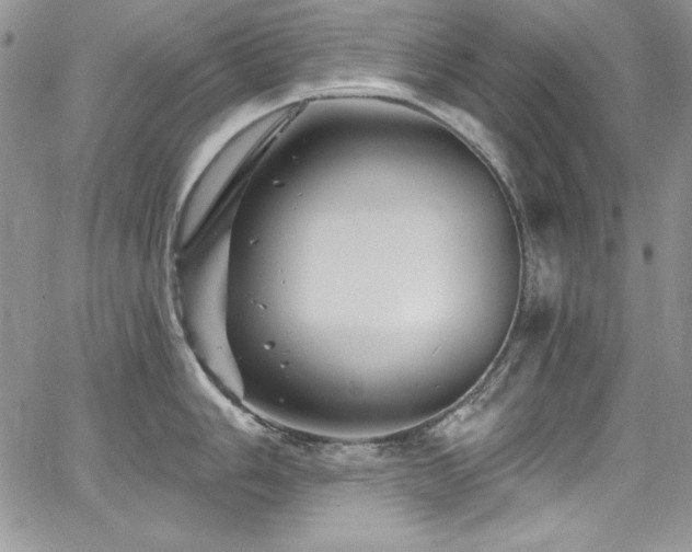 X0000068271006200604211105