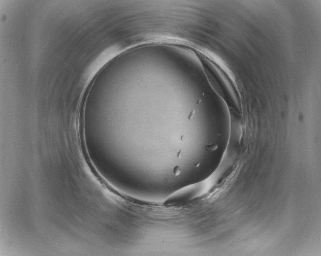 X0000068271007200604211105