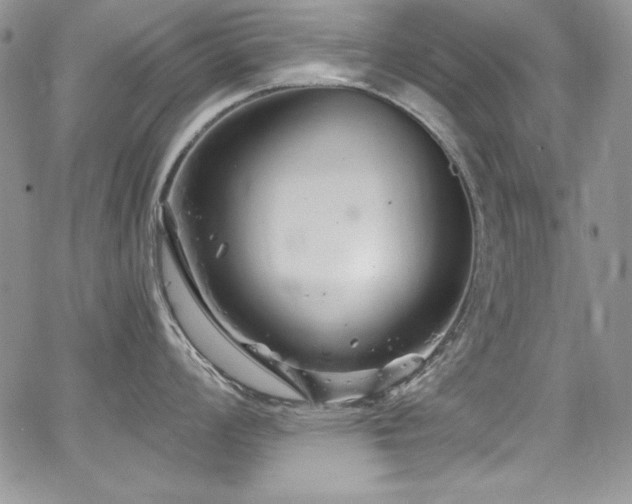 X0000068271008200604211105