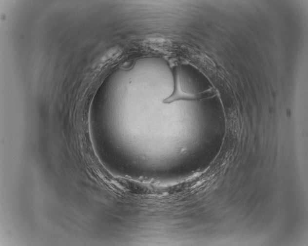 X0000068271009200604211104