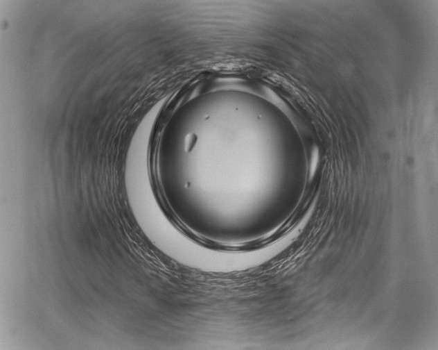 X0000068271010200604211104