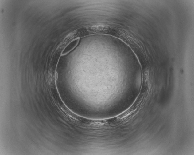 X0000068271011200604211104