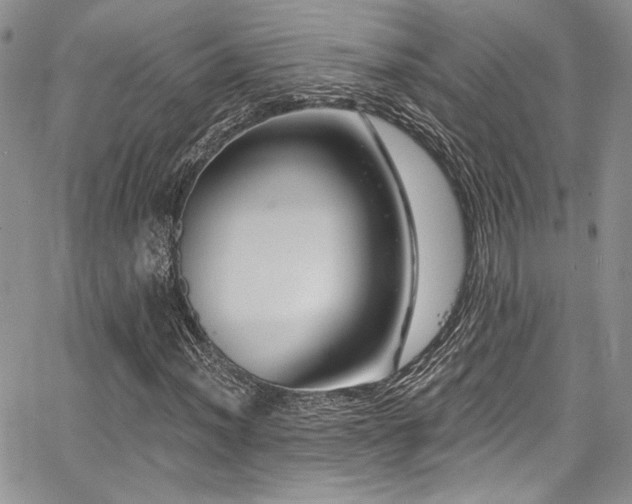 X0000068271012200604211105