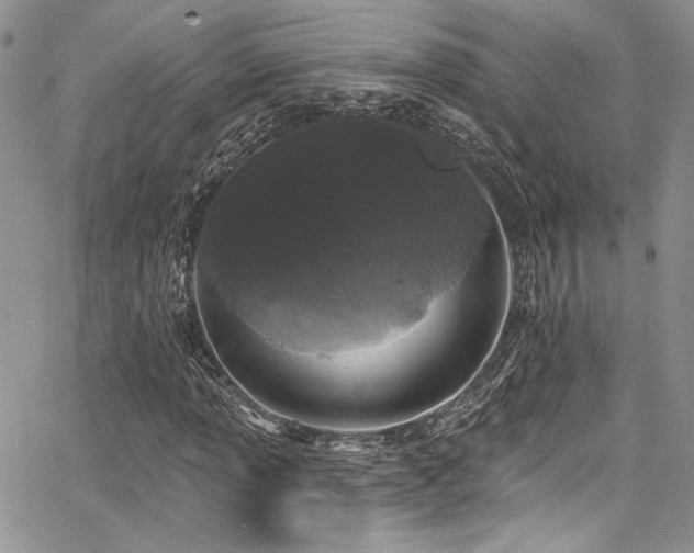 X0000068271013200604211105