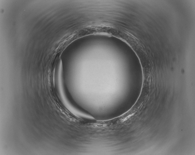 X0000068271014200604211105