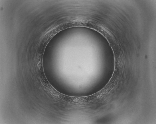 X0000068271015200604211105