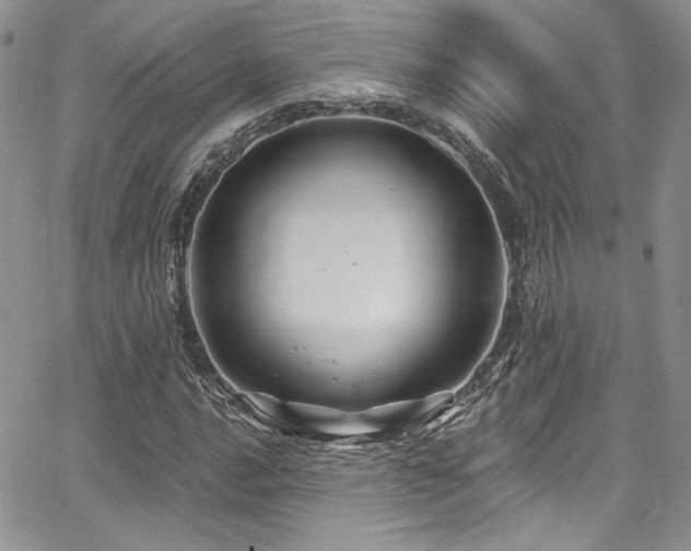 X0000068271016200604211105